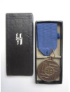 Medalla de 8 años de servicio en la SS