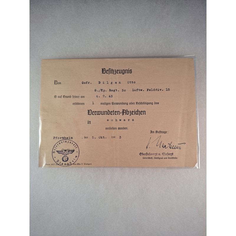 Wd. Inspektor Dr. Otto Dilgen's Group. - Bruno Mado Medals