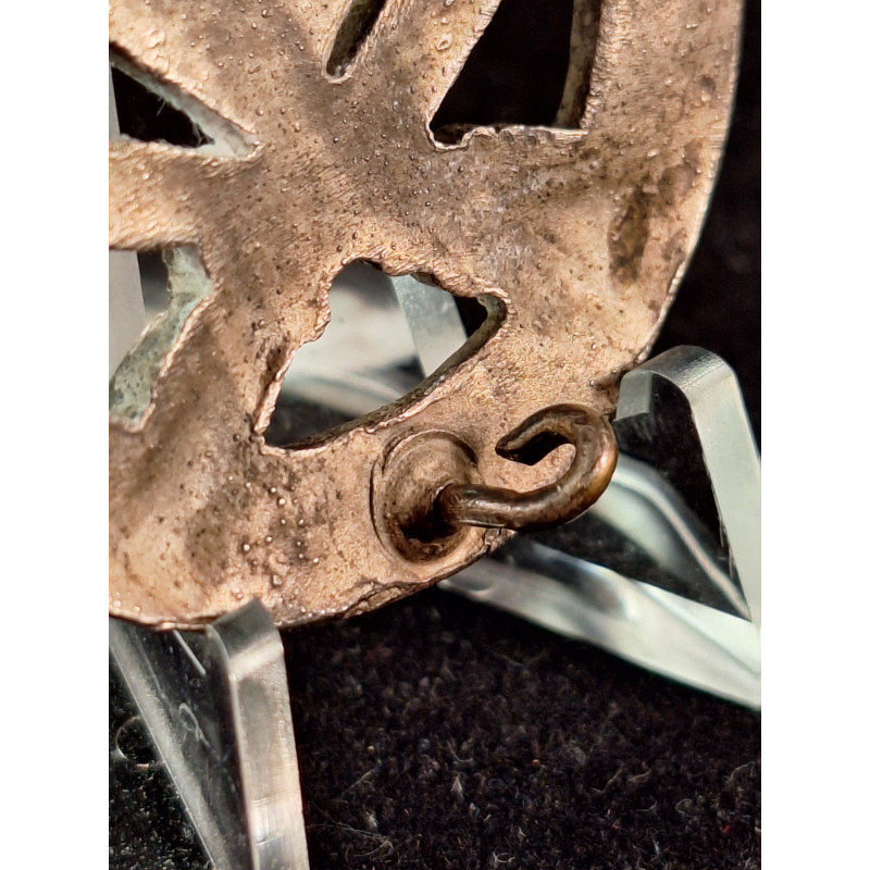 Placa de Asalto General