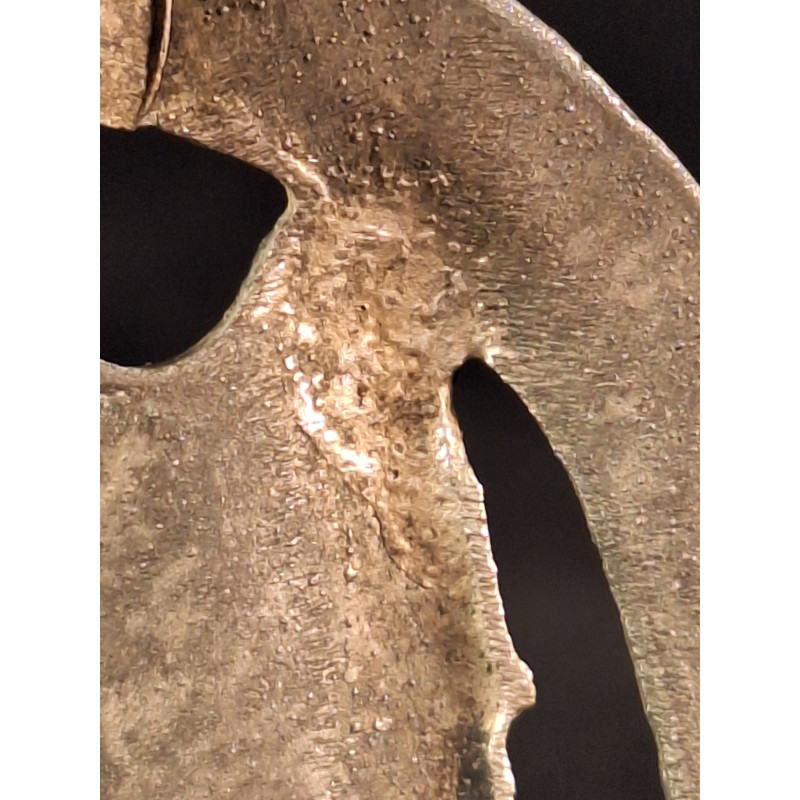 Placa de Asalto General