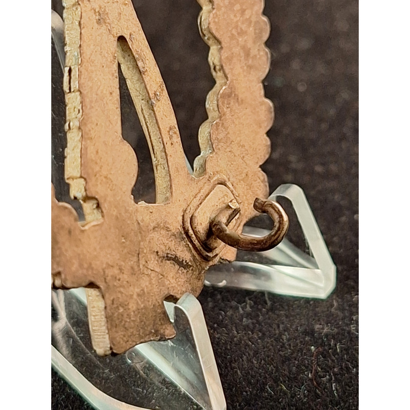 Infantry Assault Badge (IAB)