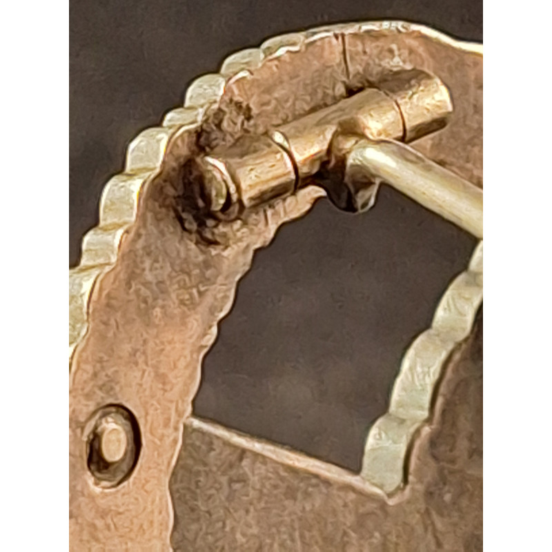 Airgunner badge (B&NL)