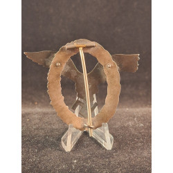 Pilot's badge "Brüder Schneider A.G. Wien"