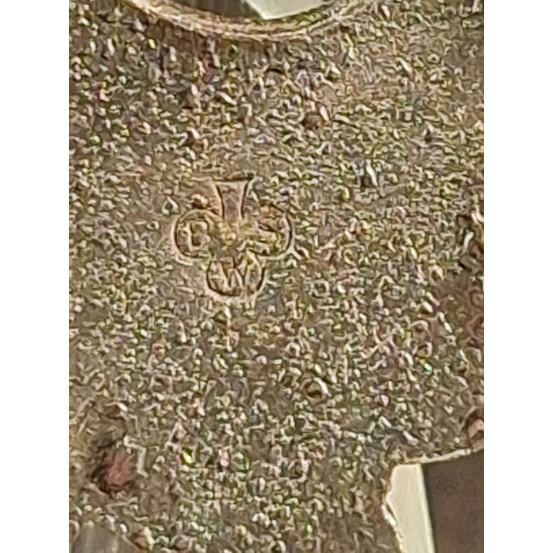 Placa de Piloto  "BSW"