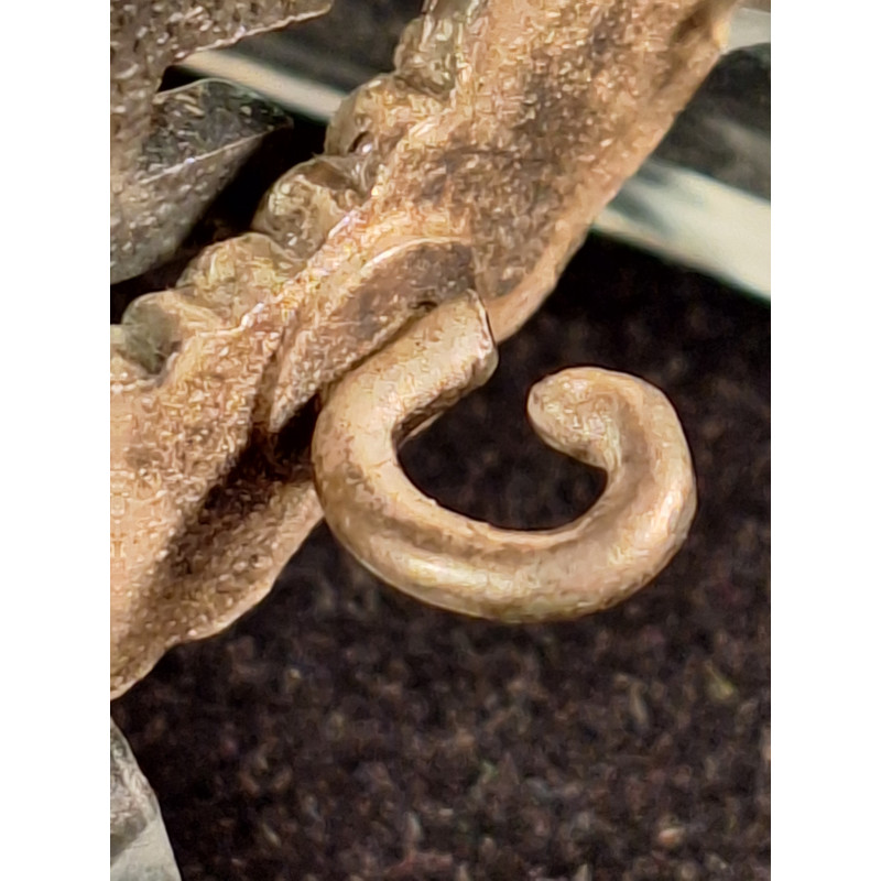 Placa de Piloto  "BSW"