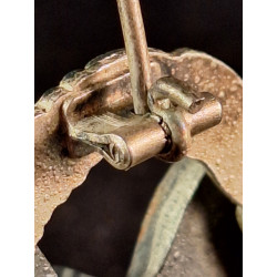 Placa de Piloto  "BSW"