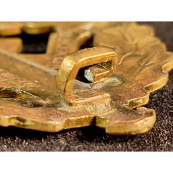 SA Sport Badge in Gold