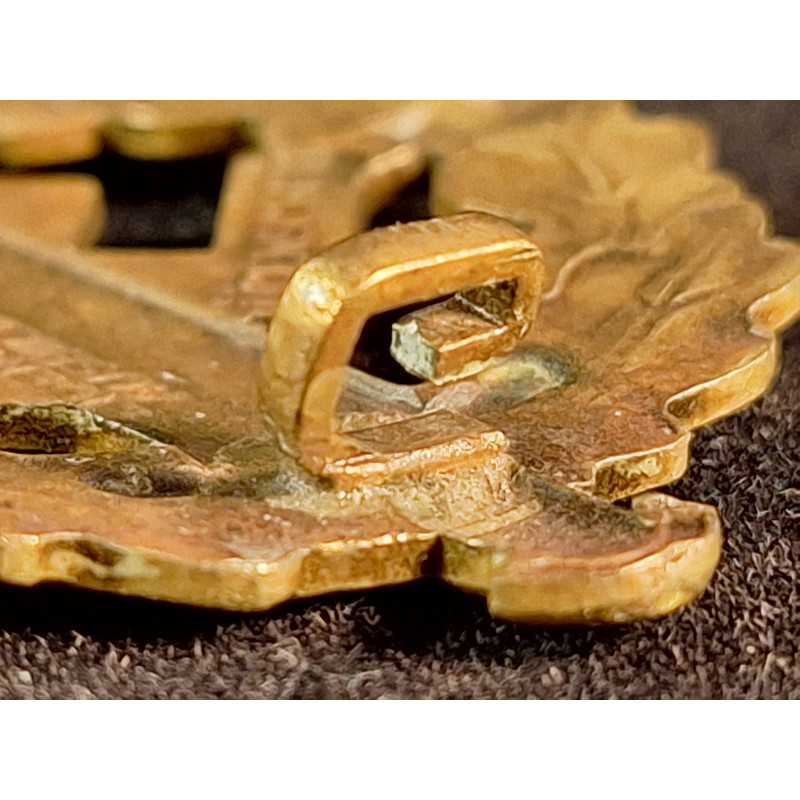 SA Sport Badge in Gold