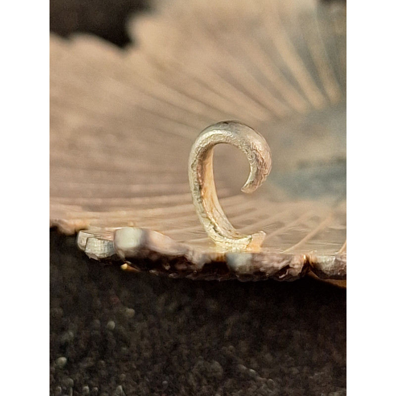 Great Plate of Honor and Merit of the Red Cross (1899-1931)