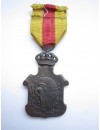 Medalla de Homenaje de los Ayuntamientos