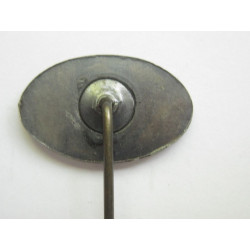 Pin de ojal de la DLV