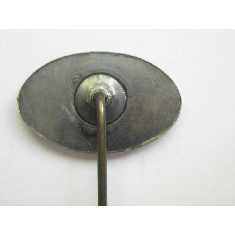 Pin de ojal de la DLV