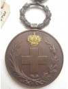 Medalla de la Cruz Roja, Campañas
