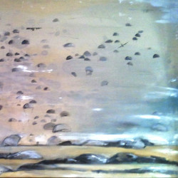 Raising the Flag on Iwo Jima