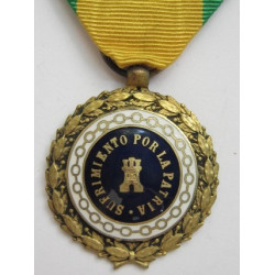 Medalla de Sufrimientos por la Patria.