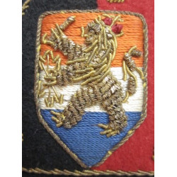 Insignia del NSB