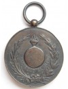 Medalla de El Sitio