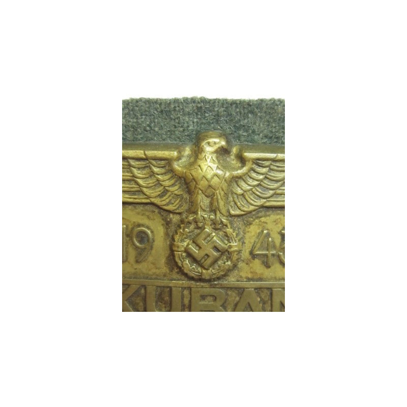 Escudo de la Campaña de Kuban.